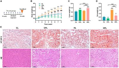 PCB169 exposure aggravated the development of non-alcoholic fatty liver in high-fat diet-induced male C57BL/6 mice